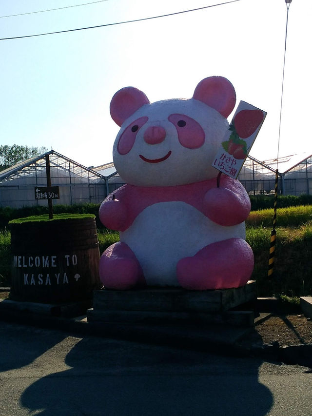 【兵庫】しいたけ狩りスポット！