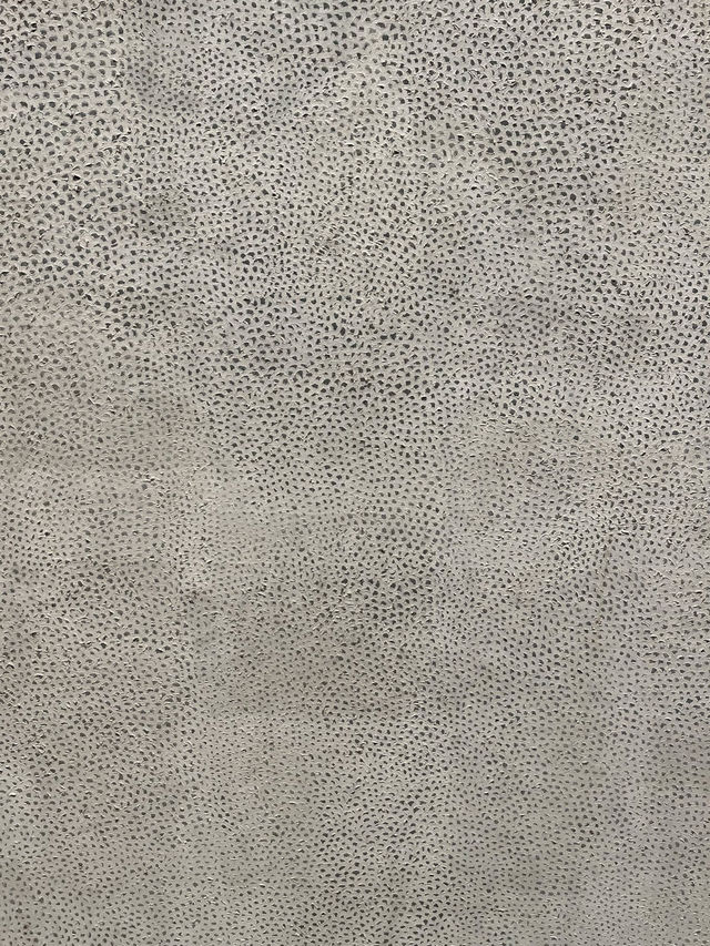 🇦🇺 墨爾本藝術之旅🎨