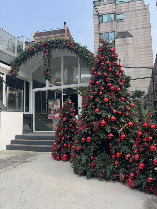 제주감성과 크리스마스 분위기를 즐길 수 있는 카페☕️✨