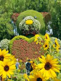 An awesome day spent at Dubai miracle garden 🪴 