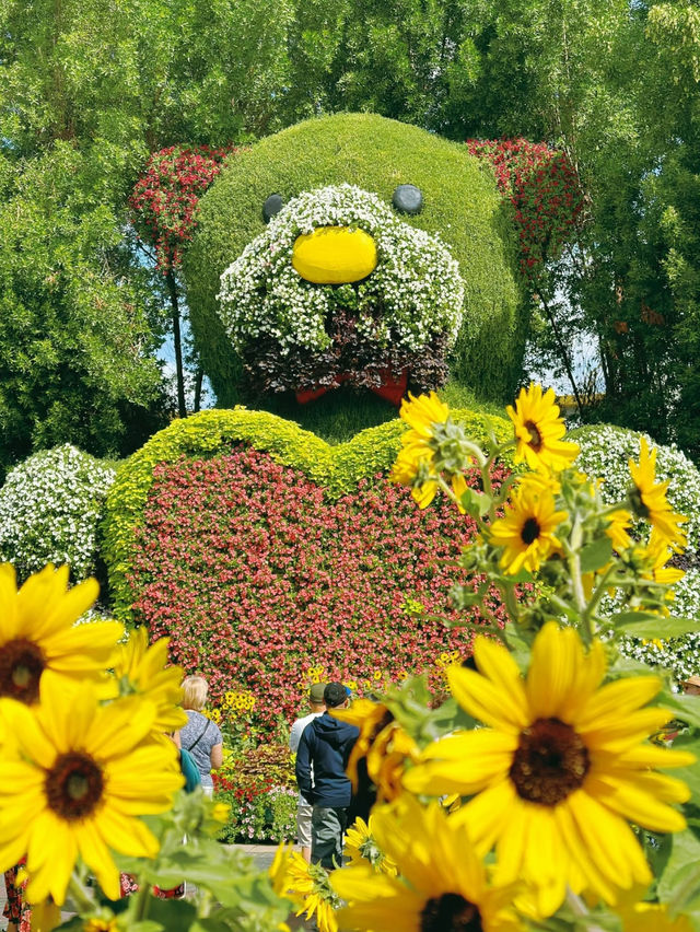 An awesome day spent at Dubai miracle garden 🪴 