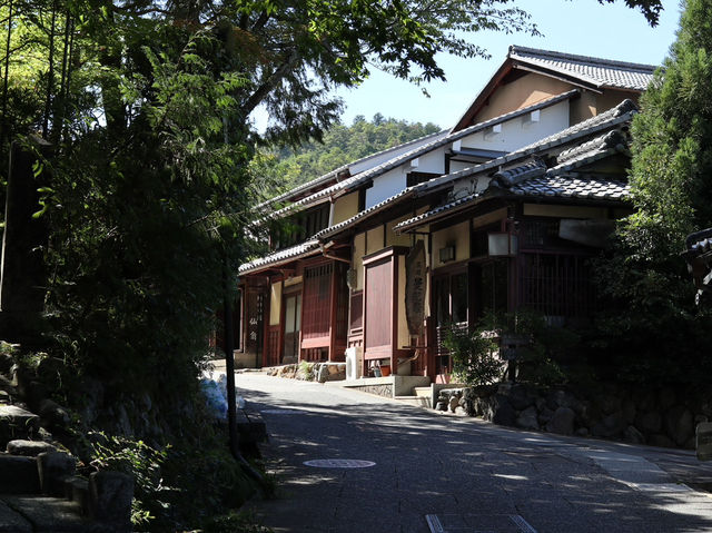 A Hauntingly Beautiful Tribute: Adashino Nenbutsu-ji Temple