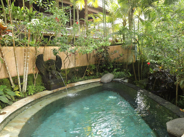 Dwaraka The Royal Villas – 叢林秘境中的夢幻度假