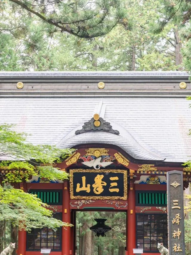 【埼玉県/秩父】一度は行きたい関東屈指のパワースポット
