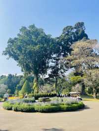 Royal botanical garden, Sri Lanka