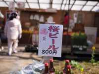 河津櫻的美—我們跟它刷過了