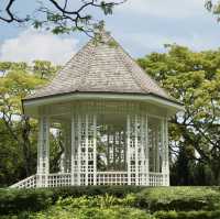 Escape to Nature’s Oasis: A Romantic Stroll Through Singapore's Iconic Gardens