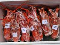 [뉴질랜드] 뉴질랜드 남섬하면 크레이피쉬! 'Kaikoura Seafood BBQ'