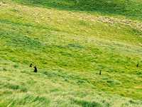 The Nobbies Viewpoint: Nature’s Grand Finale