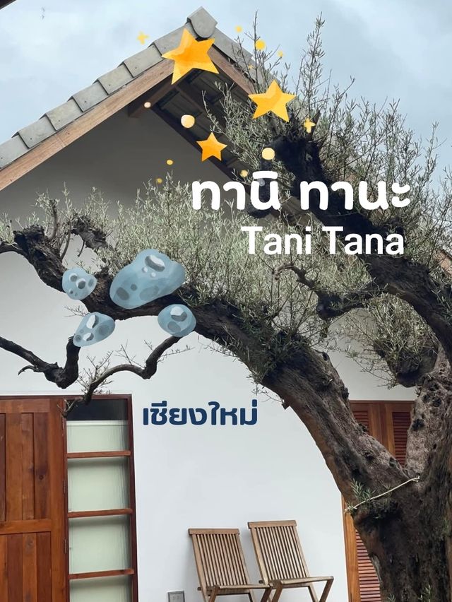 ทานิ ทานะ  Tani Tana 