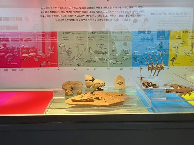 대전광역시 충남 대학교 대덕 캠퍼스 자연사 박물관 입니다.