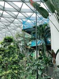 “Jewel Changi: Nature Meets Architecture in a Green Paradise”
