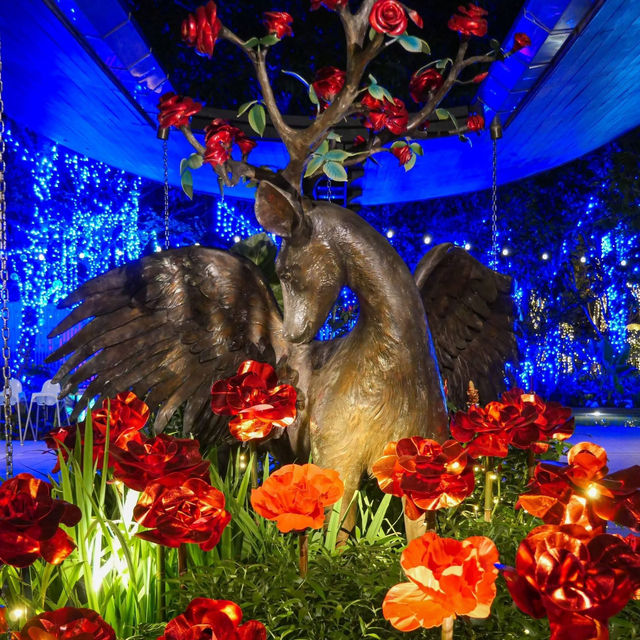 Magical Illusion 🎇✨