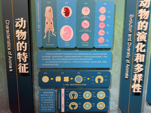중국 베이징 자연사 박물관 입니다. 
