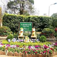 Daan Forest Park
