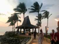Palm tree & cotton candy sunset 