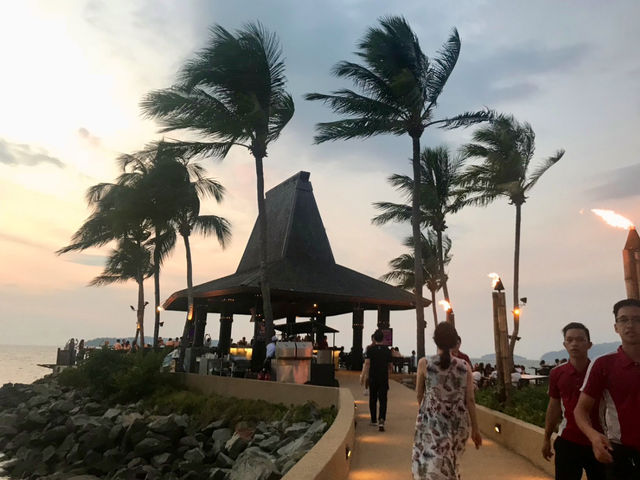 Palm tree & cotton candy sunset 