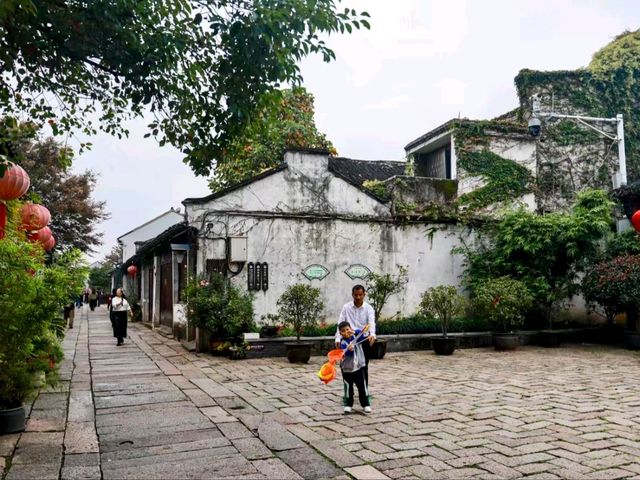 Pagoda Street: The Heart of Zhenze Ancient Town