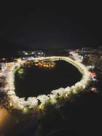 벚꽃 만개한 달밤의 연화지 🌙