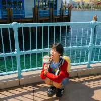 UNIVERSAL STUDIO BEIJING 🎡🎢
