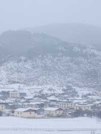 心中的日月：香格里拉納帕海草原的雪後