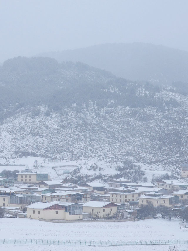 心中的日月：香格里拉納帕海草原的雪後