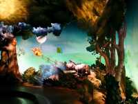The Many Adventures of Winnie the Pooh