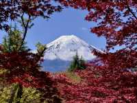 The Ultimate Mt. Fuji View: Arakurayama Sengen Park