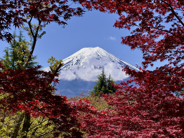 The Ultimate Mt. Fuji View: Arakurayama Sengen Park