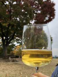 피크닉 즐기기 좋은 가을 단풍명소 🍂🍁