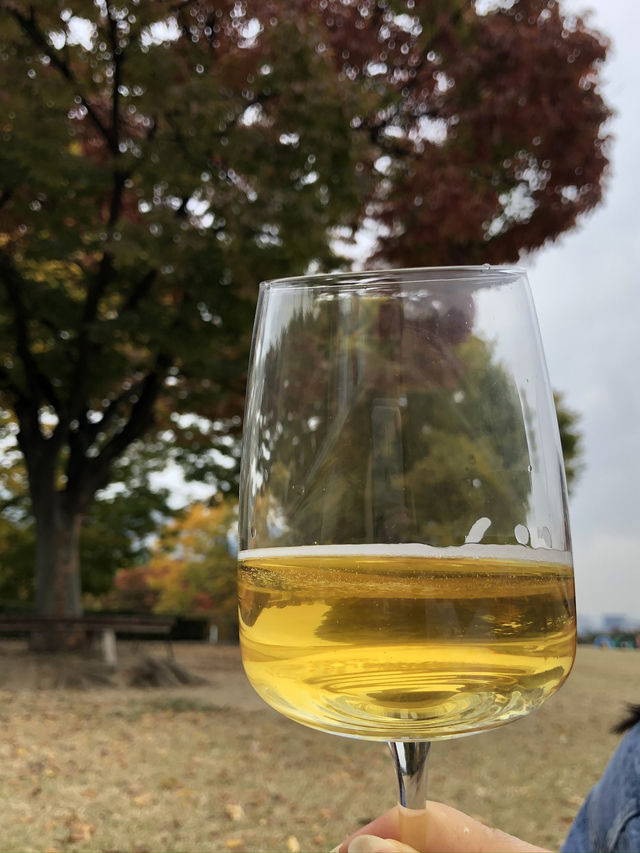 피크닉 즐기기 좋은 가을 단풍명소 🍂🍁