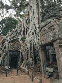 🇰🇭 Siem Reap and the Temples of Angkor: A Place You’ll Never Forget 🏛