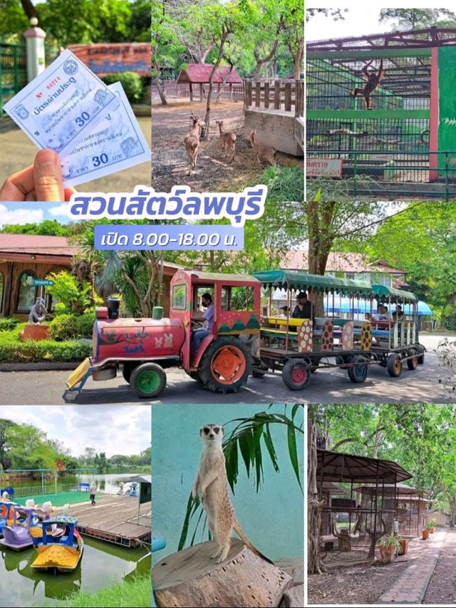 นั่ง 🚂 รถไฟ..เที่ยวเมืองลิง 🙊 กับ 8 จุดเช็คอิน