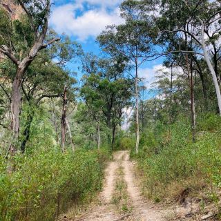 Wollemi National Park