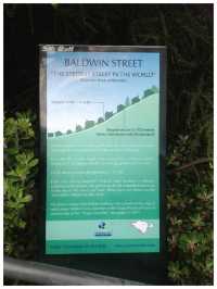 【NZ/ダニーデン】世界一急な坂‼︎＊ボルドウィン ストリート Baldwin St. ＊