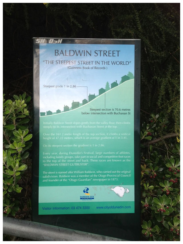 【NZ/ダニーデン】世界一急な坂‼︎＊ボルドウィン ストリート Baldwin St. ＊