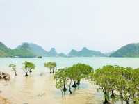 Cat Ba Island in Spring Is Breathtaking