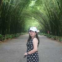 ถ่ายรูปที่อุโมงค์ป่าไผ่ นครนายก