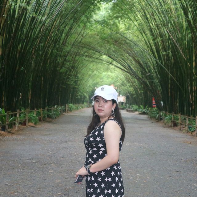 ถ่ายรูปที่อุโมงค์ป่าไผ่ นครนายก