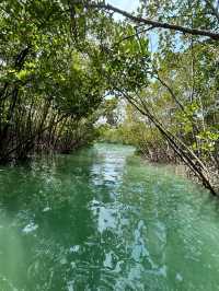 Evergreen Adventure Kundapura, located in Karnataka, India, offers a variety of boating experiences 