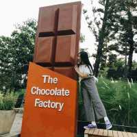 🍫 A Sweet Escape: Bangkok Chocolate Factory 🍫