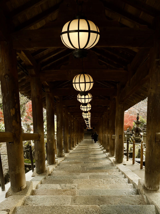 奈良賞楓好去處