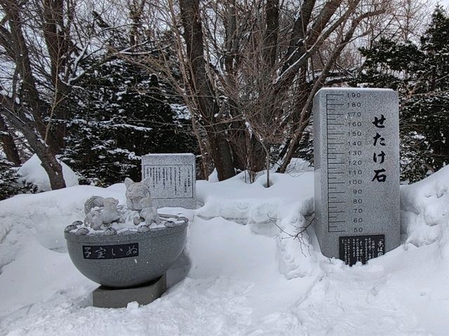 小樽春雪~小樽住吉神社