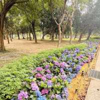 大安森林公園 (Daan Forest Park)