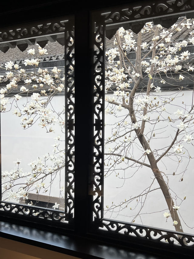 Luxury Meets Tradition: A Stay at Suzhou’s Yihe Songmaoju🍃