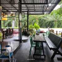 ครัวต้นฝน ร้านอาหารพื้นเมืองรสเด็ด จ. พังงา 