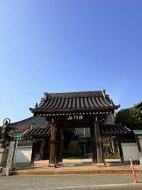 山口｜旅僧觀音傳說 防府定念寺參拜宮市觀音