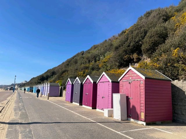 🌸 *Breathe in the salty air & let Bournemouth’s spring magic work its charm.*