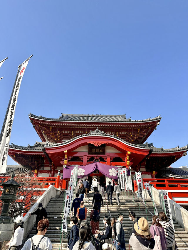 🇯🇵名古屋櫻花配上紅紅的寺廟🌸