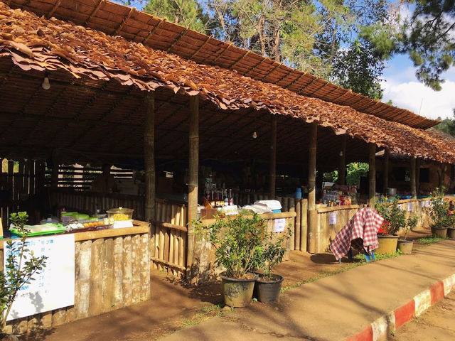 Pang Ung Camp Site - ลานกางเต็นท์ปางอุ๋ง